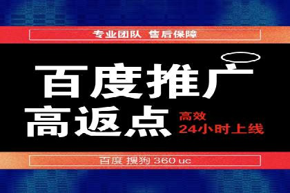 短视频平台的SEM推广实践与效果